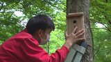 「山中湖の自然につながってくれれば嬉しい」　山中湖村で中学生が巣箱設置　愛鳥のつどい　|　山梨のニュース | ＵＴＹテレビ山梨