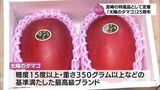 初競りで過去最高値60万円 宮崎県産完熟マンゴー「太陽のタマゴ」 四半世紀をかけてブランドを確立|TBS NEWS DIG