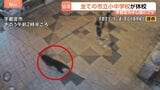 「一目で鳥肌が立った」カメラが捉えた疾走するクマ…目撃情報相次ぐ すべての市立小中学校が臨時休校 “中学校の校庭でも目撃” 栃木・宇都宮市|TBS NEWS DIG