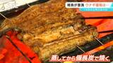 19日は土用の丑の日!今年はウナギの稚魚「シラスウナギ」が豊漁で…ウナギの価格に影響はある?ない?お店に聞いてみた | SBC NEWS | 長野のニュース | SBC信越放送