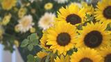 全国の知事に花束を…「花キューピット」が県産9種の花、内堀知事に贈呈 福島 | 福島のニュース│TUF