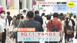 オミクロンの新変異「ケルベロス」「グリフォン」初確認　広島　「ワクチンが効きにくい可能性」指摘|TBS NEWS DIG