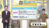 【9/14・15・16(3連休) 広島天気】すっきりしない天気でも猛暑続く 土曜はおおむね晴れ 日曜は雨 月曜は日差し届くが雨も 今の季節にぴったりな曲|TBS NEWS DIG