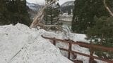 記録的な大雪で一部運休 JR只見線 運転再開は5月中旬以降 福島 | 福島のニュース│TUF