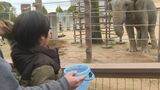 ３連休初日　徳山動物園は家族連れでにぎわう「おいしそうに草食べててかわいい」ゾウの餌やり体験人気　|　山口のニュース・天気・防災｜tys NEWS｜ｔｙｓテレビ山口