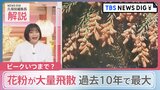 「過去10年で最大レベル」花粉が大量飛散 子どもの花粉症も増加 気になるピークと注意点は?【news23】|TBS NEWS DIG