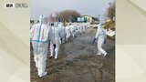 盛岡市の養鶏場で高病原性鳥インフルエンザ疑い 飼育しているニワトリ約12万羽を殺処分 確定なら岩手県内で2023年以来3例目|TBS NEWS DIG