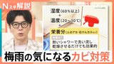 九州北部や近畿が梅雨入り、関東では深刻な水不足も…ジメジメ期に備える「カビ対策3つの条件」とは【Nスタ解説】|TBS NEWS DIG