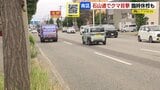 ヒグマがタクシーを威嚇 札幌市の幹線道路で親子グマ2頭が目撃される…現場付近では小学校2校が臨時休校 | 北海道のニュース|HBC北海道放送