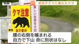 タケノコとりでクマに襲われた男性　ラジオ鳴らすもクマに噛まれ負傷…スプレー使う余裕なし　きょうも県内各地でクマ目撃（山形）|TBS NEWS DIG