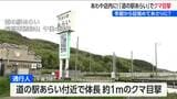 あわや店内に　人気の観光スポット「道の駅あらい」にクマ出没　新潟・妙高市　|　新潟のニュース・天気｜BSN NEWS｜BSN新潟放送