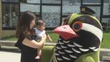 「交通安全を呼びかけていくクイ!」ヤンバルクイナのゆるキャラ「クイちゃん」が1日署長に|TBS NEWS DIG