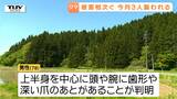 異常事態…今月に入り少なくとも3人がクマに襲われる　酒田市で遭難した男性はクマに襲われ死亡したか　連日クマの出没相次ぐ　（山形）|TBS NEWS DIG
