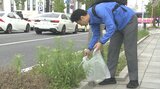 通勤途中にごみ拾い 「ごみゼロの日」 NTT西日本大分支店の社員が清掃活動 大分 | 大分のニュース|OBS NEWS|大分放送