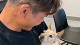 【照英】19歳の愛犬を「ゆっくりゆっくりマッサージ」見つめ合う様子にフォロワー感銘「その目に力をもらいます」|TBS NEWS DIG