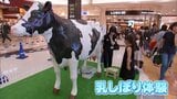 イオンモール宮崎で「みやざきミルクフェア」|TBS NEWS DIG