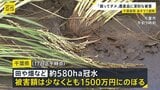 【台風18号】週末に「非常に強い勢力」に発達へ 千葉豪雨の被災地では断水解消…“水没車”撤去も農作物への被害が深刻【news23】|TBS NEWS DIG