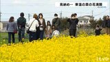 「最後に来られてよかった」 栽培農家の高齢化で今年が見納め…愛媛県東温市で「菜の花まつり」 | 愛媛のニュース - Nスタえひめ|あいテレビは6チャンネル
