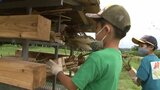 昆虫のためのホテル「インセクトホテル」を親子で作る 生物多様性学ぶ/岩手・雫石町|TBS NEWS DIG