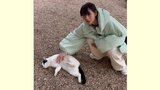【 のん 】パリの庭園で〝猫なで〟日本語でのご挨拶に「ころん」 癒やしの時間に「良い出会いでした」|TBS NEWS DIG