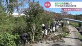 「サクラが咲く森に…」住宅メーカーがサクラの手入れ 富山|TBS NEWS DIG
