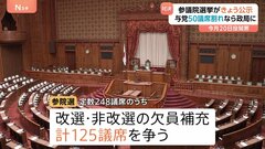 参議院選挙 公示 「物価高対策」「社会保障」などが主な争点　自民・公明は「給付」を主張　野党は「消費税の減税・廃止」を訴え　今月20日投開票| TBS CROSS DIG with Bloomberg