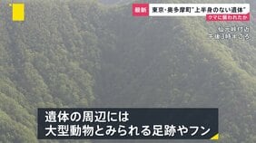 クマに襲われた可能性…“上半身のない遺体”が東京・埼玉にまたがる峠に 各地で相次ぐクマ被害「一段ギアを上げて取り組む」政府が対策会議【news23】|TBS NEWS DIG