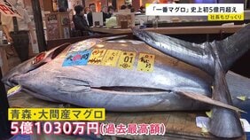 【2026年本格始動!】初競りで「一番マグロ」史上初5億円超え…午年の仕事始めに馬が“脱走”…街は一時騒然【news23】|TBS NEWS DIG