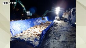 約12万羽の処分終了　埋却も6日夕に完了見込み　高病原性鳥インフルエンザ疑いの盛岡市の養鶏場　県職員延べ1037人動員　岩手|TBS NEWS DIG