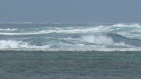 台風9号に備える石垣島 旅客船は全便欠航、ロープで固定し暴風・波浪対策|TBS NEWS DIG