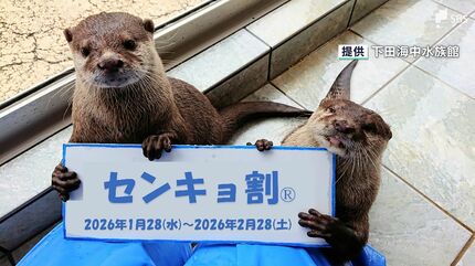 割引あれば投票しようかな」水族館1000円引きや『ラブライブ