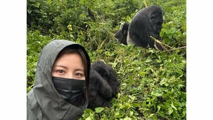 宇賀なつみ 】ルワンダで『マウンテンゴリラ』に遭遇 「山の中を