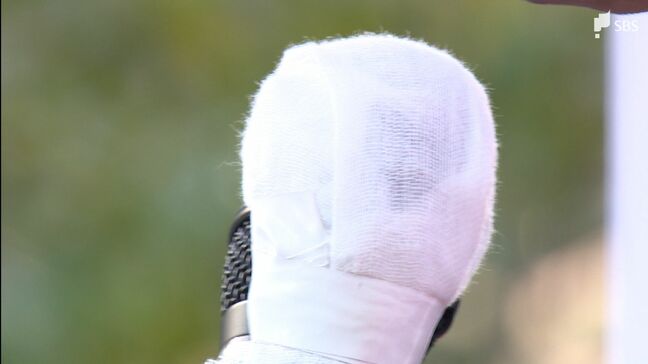 衆議院選挙公示 静岡県内8小選挙区に26人立候補届け出 2月8日投開票 各選挙区の顔触れは|TBS NEWS DIG