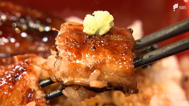 「ワサビとウナギがマッチ」“山葵うなぎ”を伊豆市の名産に…豊富な湧き水を使って活きを保ちストレス軽減も|TBS NEWS DIG