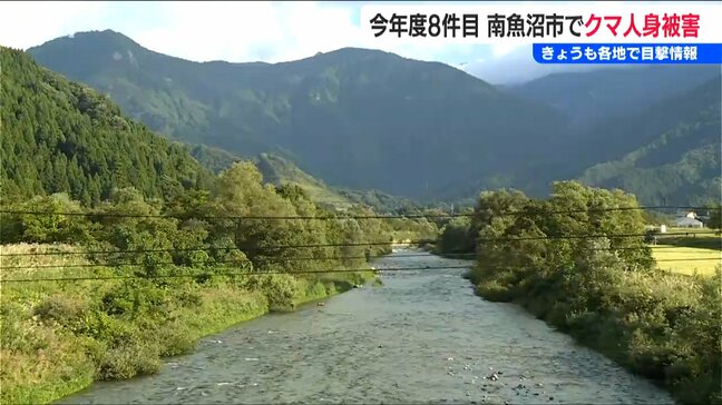 クマに頭頂部かまれる「額のところにちょっとくぼみができるくらい」川釣りをしていた男性　各地で相次ぐ目撃情報　新潟県|TBS NEWS DIG