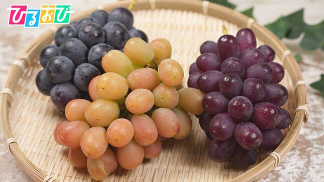 “次世代のシャインマスカット”ってどんな味？日本一美味しい「ぶどう」を決める「全国ぶどう選手権」【ひるおび】|TBS NEWS DIG