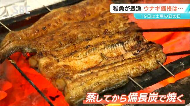 19日は土用の丑の日!今年はウナギの稚魚「シラスウナギ」が豊漁で…ウナギの価格に影響はある?ない?お店に聞いてみた|TBS NEWS DIG