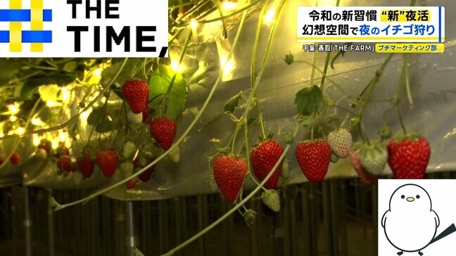 “新”夜活で「1日の終わりを充実」カフェもイチゴ狩りも夜ならではの魅力【THE TIME,】 |TBS NEWS DIG