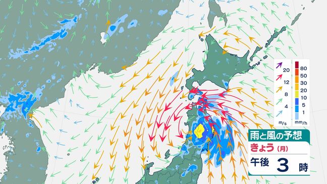【台風最新情報】台風５号　雨と風の予想（12日午後３時～14日午前０時）|TBS NEWS DIG