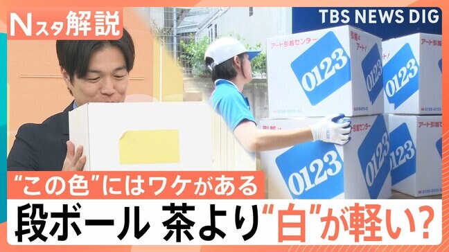 その「色」にはワケがある!意外に知らない“色のワケ” を徹底調査【Nスタ解説】|TBS NEWS DIG