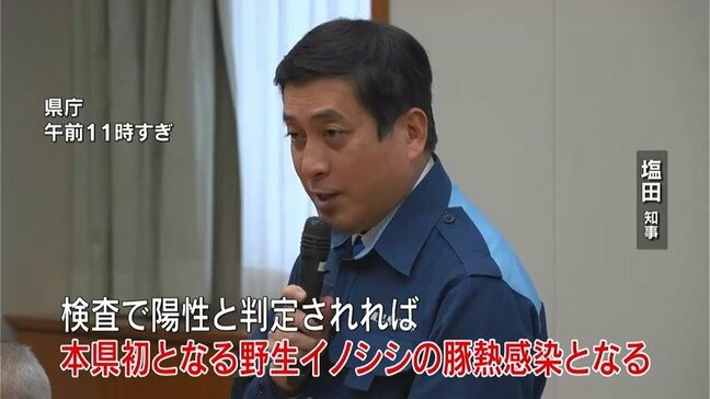 「豚熱」の感染疑い…霧島市で野生イノシシから「陽性なら初」「強い危機感」　鹿児島県が対策本部会議|TBS NEWS DIG