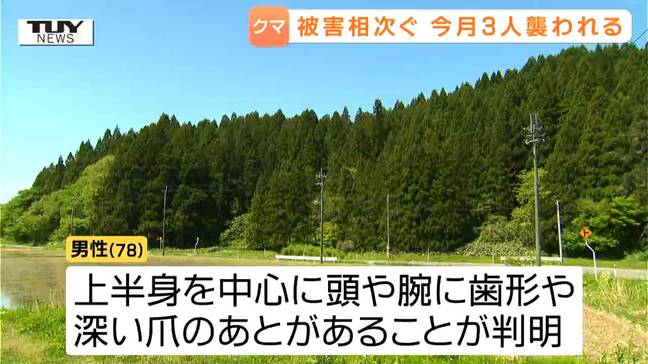異常事態…今月に入り少なくとも3人がクマに襲われる　酒田市で遭難した男性はクマに襲われ死亡したか　連日クマの出没相次ぐ　（山形）|TBS NEWS DIG