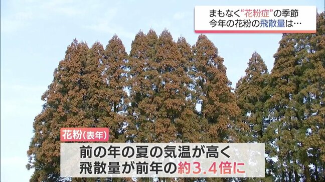 2026年は「裏年」も飛散量に注意 夏の猛暑で雄花が成長 2月中旬からスギ花粉ピークへ|TBS NEWS DIG