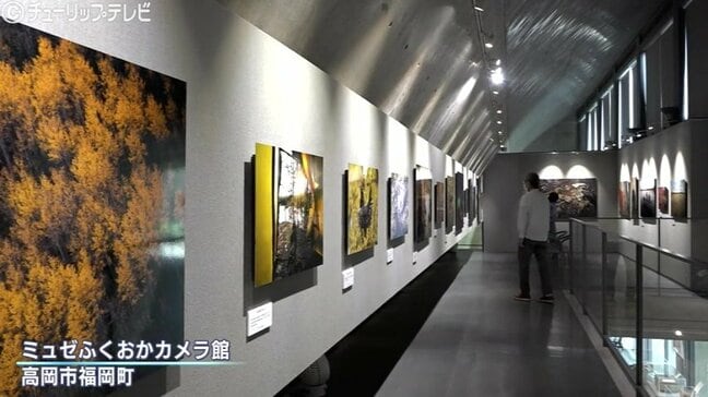 野生動物と先住民の息吹を感じる…写真家・大竹英洋氏のノースウッズ写真展　土門拳賞受賞作を含む感動の名作110点が集結　富山・高岡市|TBS NEWS DIG