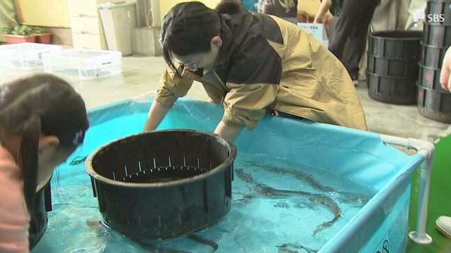 養殖ウナギの産地で「うなぎまつり」にぎわう ミッション成功で「かば焼き」プレゼントも=静岡・吉田町|TBS NEWS DIG