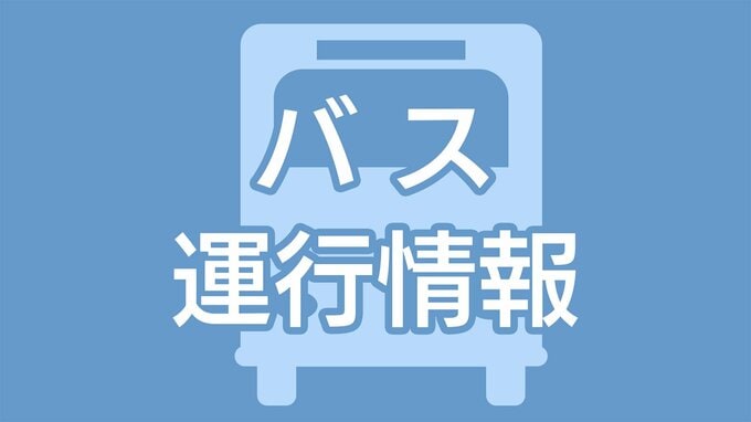 空港バスに大幅な遅れ　鹿児島市ー鹿児島空港線【大雨情報】|TBS NEWS DIG