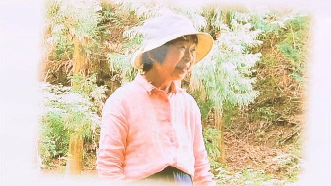 【未解決殺人事件】6年前に画家の女性が遺体で発見　警察が商業施設で情報提供呼びかけ　これまでに集まった情報は3年で51件　|　山梨のニュース | ＵＴＹテレビ山梨