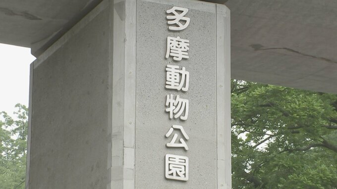 東京・多摩動物公園16日から臨時休園　園内のツクシガモ4羽が鳥インフル確定　|TBS NEWS DIG