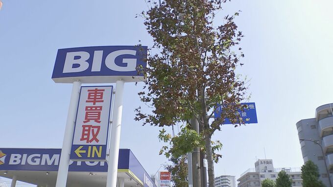 ビッグモーターが東京都に約1600万円納付　街路樹の原状回復費として|TBS NEWS DIG