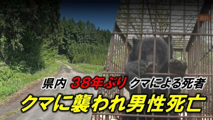 身に迫る危険…遺体で発見の高齢男性はクマに襲われ死亡と判明　県内のクマによる死者は1988年以来、38年ぶり　死因は切り傷による出血死（山形）　|　山形のニュース│TUYテレビユー山形
